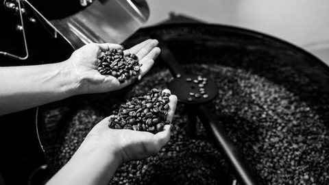 Exportação de café cai 3,6% na safra 2019-2020, mas bate recorde