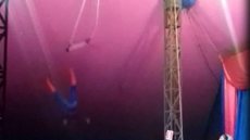 Vestido de Homem-Aranha, trapezista cai durante apresentação em circo