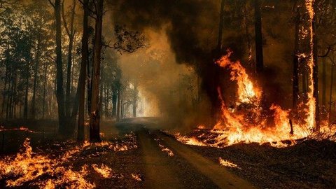 Austrália ordena evacuação de cidades antes de aumento nos incêndios
