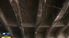 Pontes e viadutos de SP têm infiltrações, desgastes e plantas enraizadas nas estruturas