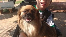 Cães voluntários interagem com alunos em terapia lúdica desenvolvida pela Apae