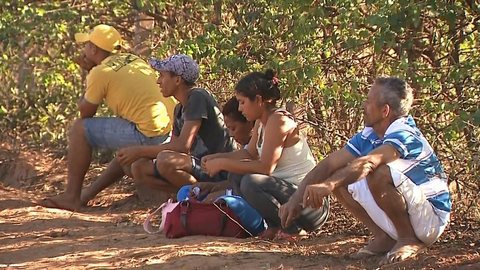 Multinacional é condenada a pagar R$ 680 mil a trabalhadores rurais flagrados em alojamentos precários em Pedregulho, SP