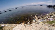 Descaso com a Baía de Guanabara causa impactos na saúde, no transporte e no turismo e provoca prejuízo de bilhões ao RJ, alerta ONG
