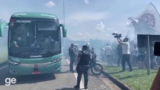 Palmeiras