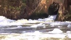 Cetesb multa Semae em R$ 100 mil por causa da poluição no rio Preto