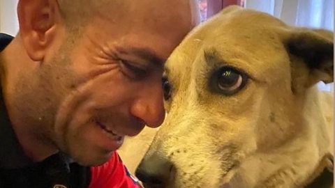 Dono da cachorra Pandora pede indenização de R$ 320 mil à empresa aérea após sumiço do animal por 45 dias