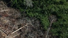 Ministério do Meio Ambiente quer reduzir meta oficial de preservação da Amazônia