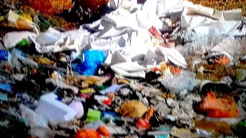 Terrenos e avenidas viram pontos de lixo em Rio Preto