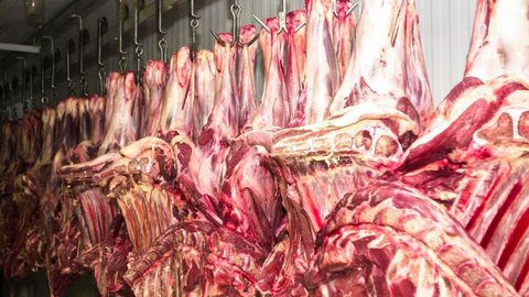 Brasil vai exportar carne bovina para a Tailândia