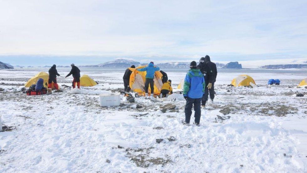 Antártica: micróbios podem ajudar limpeza de plásticos