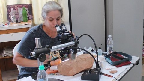 Museu de Paleontologia de Marília recebe pesquisadoras de Los Angeles