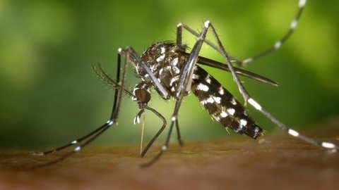 Catanduva confirma segundo caso de chikungunya neste ano.