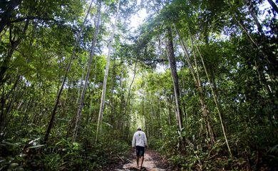 Dez florestas protegidas liberam mais carbono do que absorvem