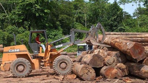 Ibama atualiza sistema digital antifraude para controle da madeira