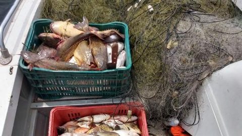 Casal é multado em mais de R$ 5,6 mil pela prática de pesca irregular no Rio Paraná, em Presidente Epitácio
