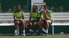 PALMEIRAS