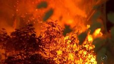 Incêndio em terreno mobiliza Corpo de Bombeiros de Rio Preto