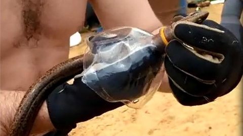 Enguia é resgatada de garrafa pet por mergulhadores em mutirão de limpeza no rio Tietê