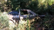 Guarda descobre desmanche de veículos furtados em meio a mata em Jundiaí