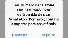 Flávio Bolsonaro foi banido do WhatsApp por ‘comportamento de spam’; conta já foi desbloqueada, diz senador eleito