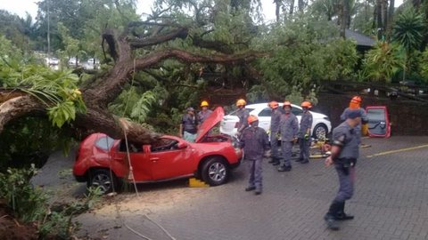 Queda de árvore em carro provoca morte durante ventania em Piracicaba