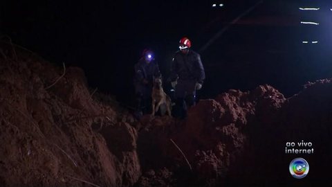 Cães farejadores ajudam no trabalho de busca a possíveis vítimas após desmoronamento em São Roque