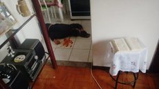 Com ketchup, suspeito encena própria morte nas redes sociais para escapar da polícia no Paraná