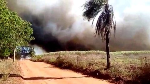 Incêndio atinge canavial em Ipiguá e assusta moradores