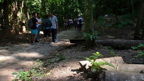 Parque Nacional da Tijuca terá regras mais rígidas aos visitantes