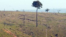 Governo prorroga presença das Forças Armadas na Amazônia Legal