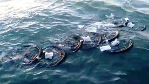 Acidente derruba 40 contêineres no mar e carga fica espalhada; vídeo
