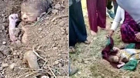 Bebê é resgatado após ser enterrado vivo em fazenda na Índia; imagens são fortes