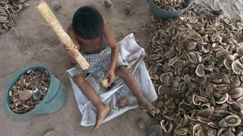 Denúncias de trabalho infantil no Piauí crescem mais de 10 vezes em três anos