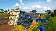 Caminhão carregado com laranjas tomba em rodovia de Urânia