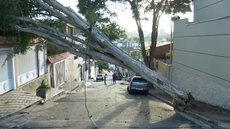 Após temporal, árvore cai e interdita rua da Zona Norte de SP
