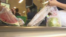 Câmara de SP aprova em 1º turno projeto que proíbe distribuição e venda de sacolas plásticas em comércios