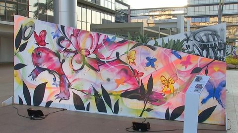 Espaço cultural em Rio Preto é inaugurado com exposição de grafite