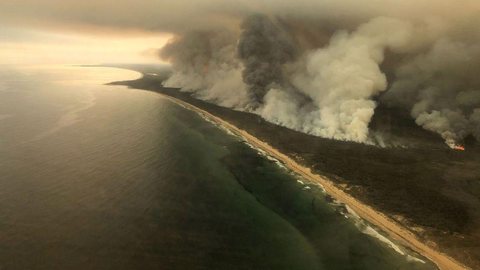 Fogo na Austrália é “catástrofe ecológica”, diz cientista