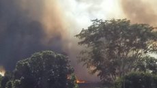 Incêndio atinge área de plantação de cana em Pereira Barreto