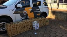Polícia apreende 420 tabletes de maconha em rodovia de Jales