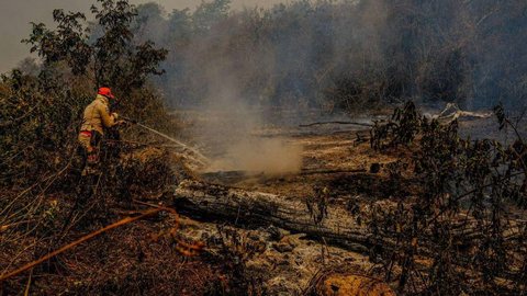 Fogo já destruiu 3,461 milhões de hectares do Pantanal