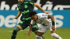 Palmeiras