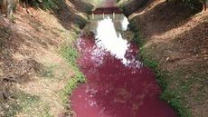 Rio com água cor-de-rosa chama a atenção no interior de SP