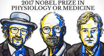 Trio leva Nobel de Medicina por pesquisas sobre ‘relógio biológico’ humano