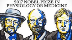 Trio leva Nobel de Medicina por pesquisas sobre ‘relógio biológico’ humano