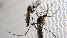 Casos de dengue caem 29,2% na cidade de São Paulo