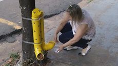 Comerciante faz comedouro e bebedouro para animais de rua e ‘bomba’ na web