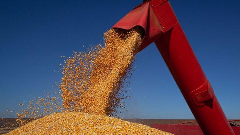 Exportação de milho do Brasil sobe 44% na primeira semana de dezembro