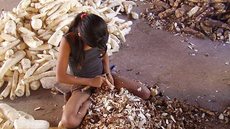 IBGE: Brasil tem 4,6% das crianças e adolescentes em trabalho infantil