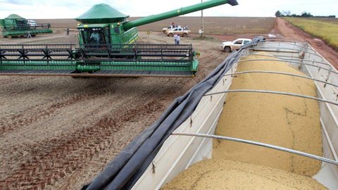 Safra de grãos deve ser 4,2% superior à produção de 2019, diz IBGE